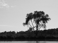 27265CrBwLe - Kayaking with Andy up the Rouge River  Peter Rhebergen - Each New Day a Miracle
